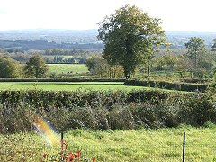 View from the house