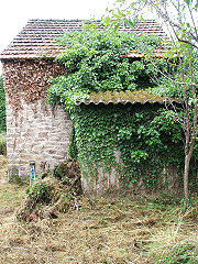 Rear of the barn