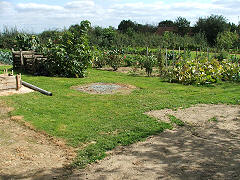 Vegetable garden