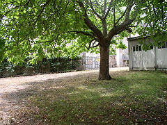 Garden and garages