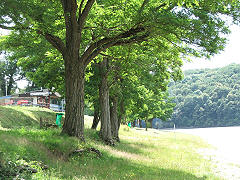 Lac de Chambon