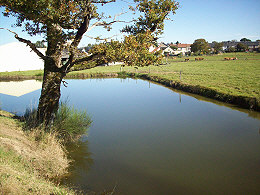 view towards the village