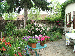 back garden