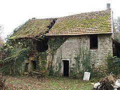 Back of the houses