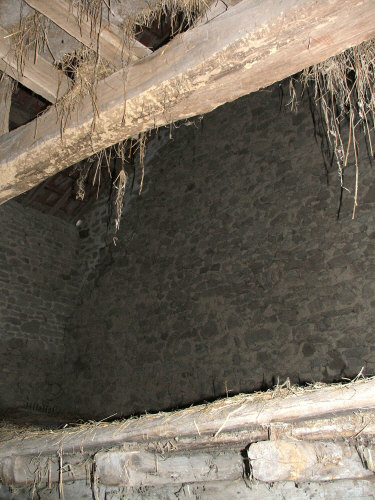 Inside barn