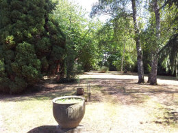 mature parkland