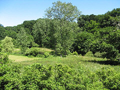 Land
